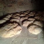 Pagnotte in forno